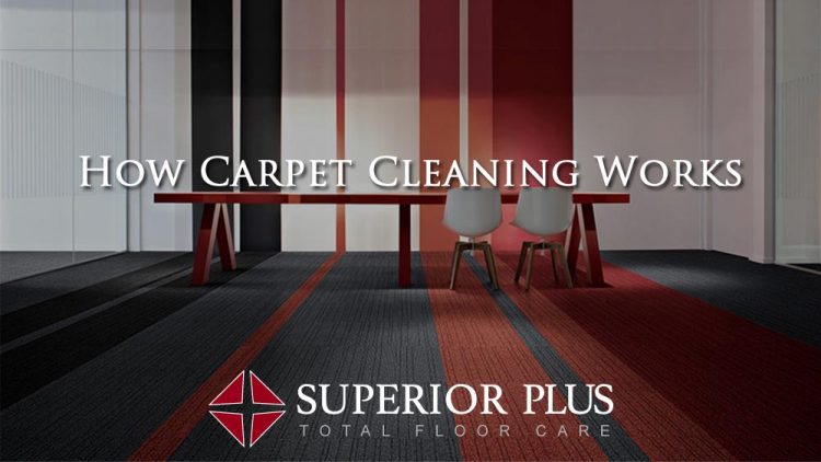 How Carpet Cleaning Works