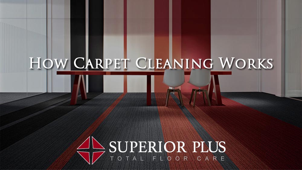 How Carpet Cleaning Works Superior Plus AZ