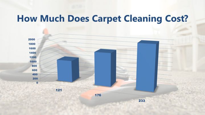 carpet cleaning house cost